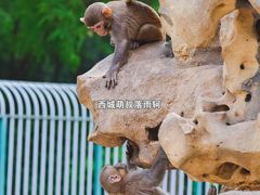 -保定市动物园