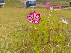 -龙里油画大草原旅游区