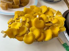 -朴小妹人参鸡汤火锅(长白山万达店)
