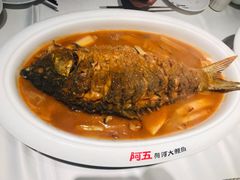 红烧黄河大鲤鱼-阿五黄河大鲤鱼(纬三路店)