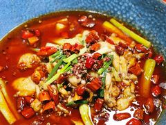 -馋嘴猫北京食堂·烤鸭·宵夜(亚运村店)