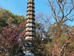 -西泠印社