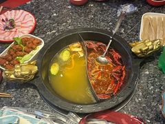 -蜀大侠火锅(香格里拉店)