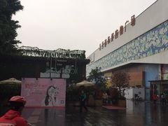 -胡桃里音乐酒馆(白云五号T5 MALL店)