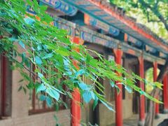 -苍岩山风景名胜区