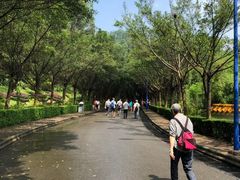 -滴水岩森林公园
