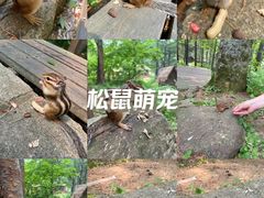 -五营国家森林公园