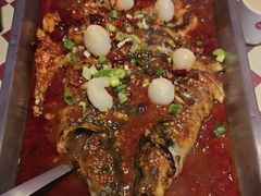 -鱼酷活鱼烤鱼(信息城店)