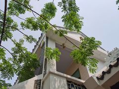 -后海村