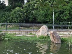-美兰湖景区