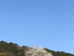 -青龙山国家森林公园