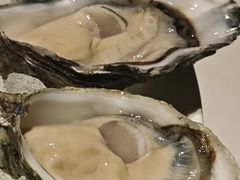 -Oyster Talks 四度蚝法餐厅