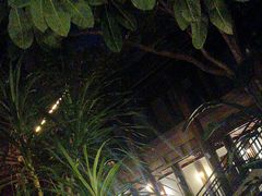 -西双版纳洲际度假酒店-曼霖轩中餐厅