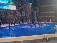 -横琴湾水世界