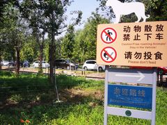 -秦皇岛野生动物园