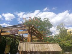 -仁爱团泊湖温泉中心