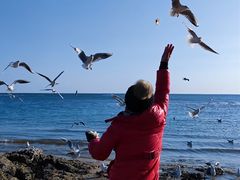 -老虎石海上公园