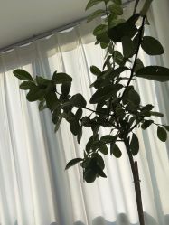 -颜续美容美体