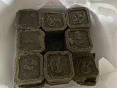 -曹祥泰(解放路店)