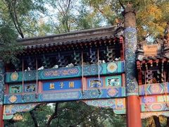 -北京国子监胡同