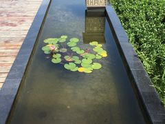 -北京云瑧金陵莲花酒店·莲·川小馆