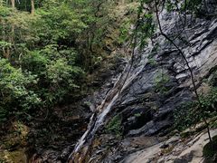 -梧桐山风景名胜区