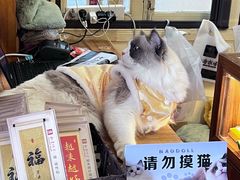 -南普陀素菜馆