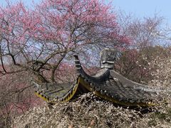 -杭州植物园