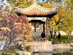 -三里河公园