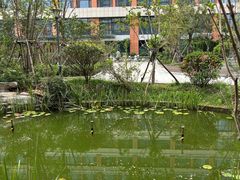 -山东省千佛山医院