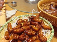 -鸽子窝(宋庄店)