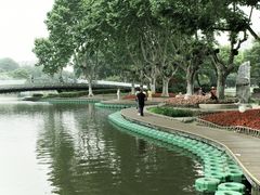 -红梅公园