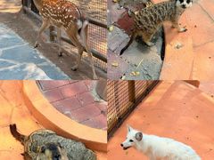 -南戴河国际娱乐中心