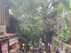 -重庆十八梯传统风貌区