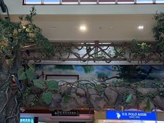 -呀诺达热带雨林