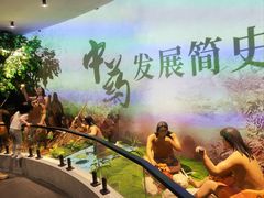 -广东中医药博物馆