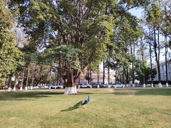 -西昌邛海宾馆