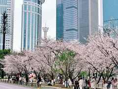 -西北湖绿化广场