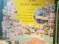 -猫咪博物馆(顶澳仔猫街店)