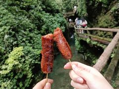 -青城山
