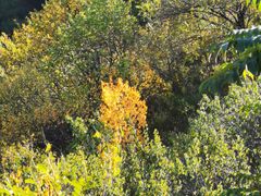 -蟠龙山长城景区