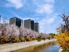 -海棠花溪(元大都城垣遗址公园)