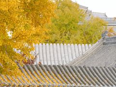 -VOYAGE COFFEE(北锣鼓巷店)