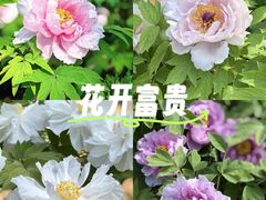 -洛阳市隋唐城遗址植物园