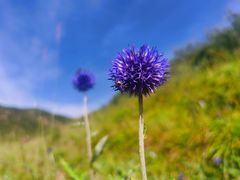 -凯鸽火锅(华林新天地店)