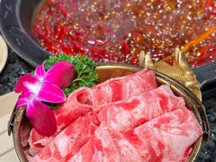 -蜀大侠火锅(总府路店)