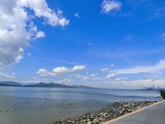 -深圳湾公园(南山区)