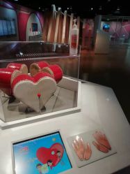 -北京科学中心儿童乐园