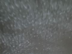 -老地方烧烤大排档