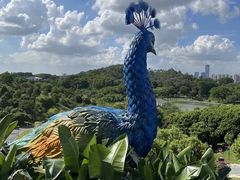 -东莞植物园